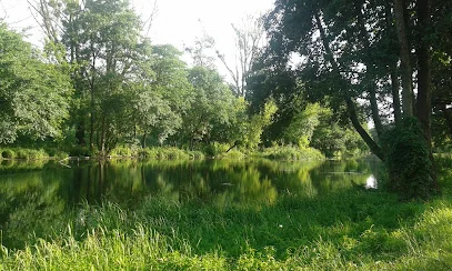 Rzeka Jeziorka